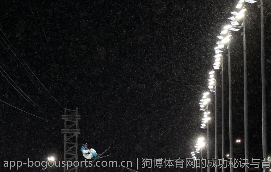 狗博体育网的成功秘诀与背景故事分析
